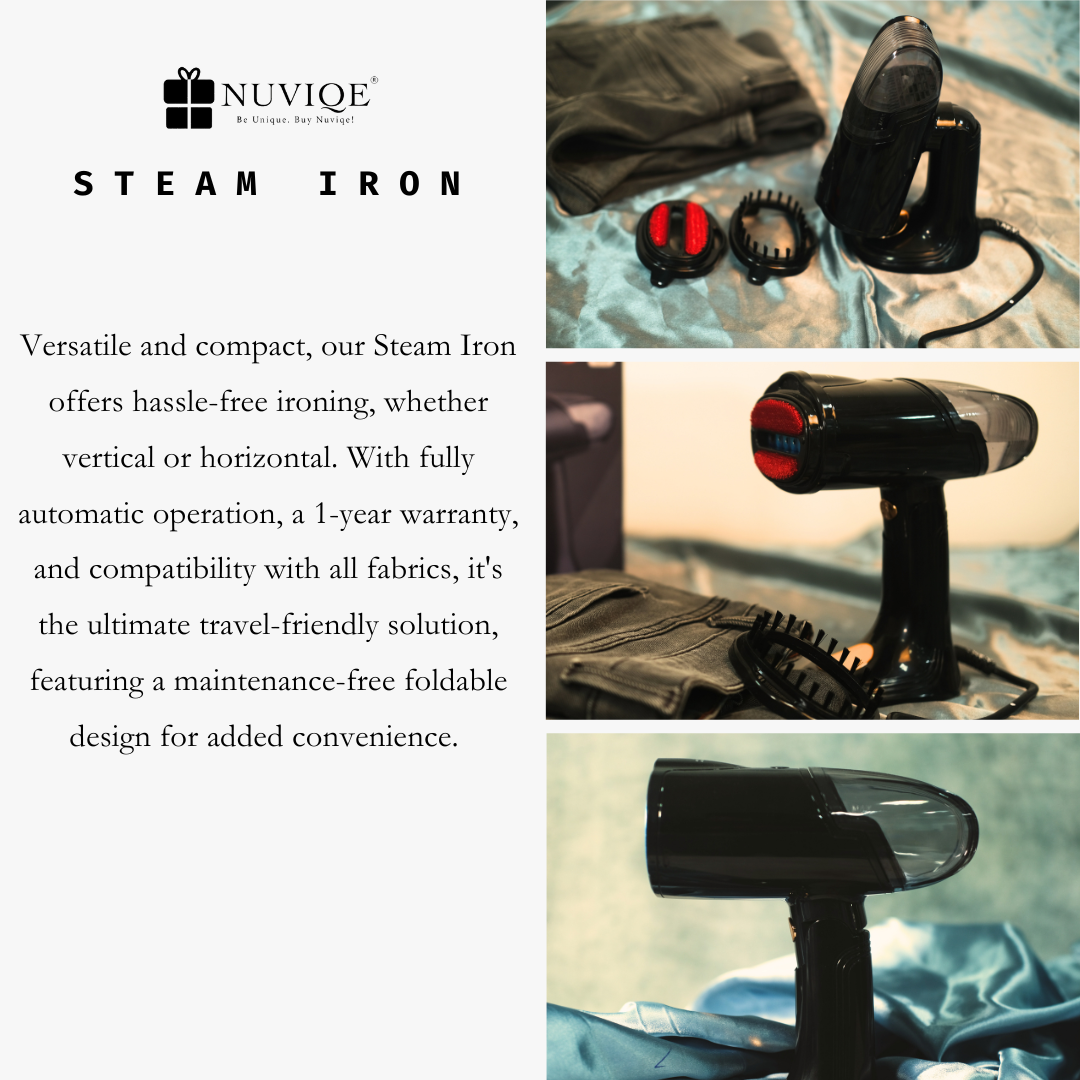Steam Iron 2