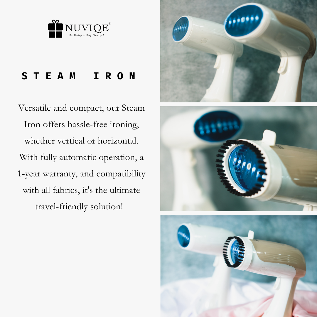 Steam Iron 1