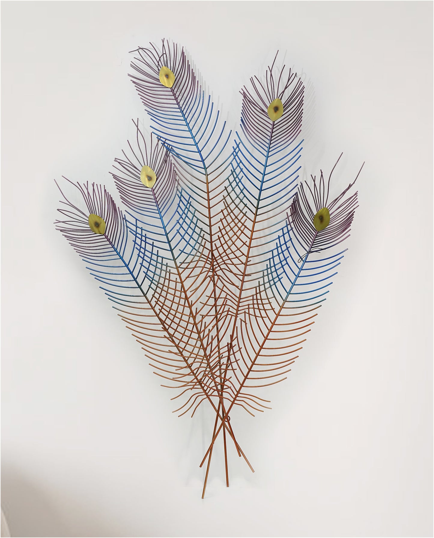 Peacock Feather