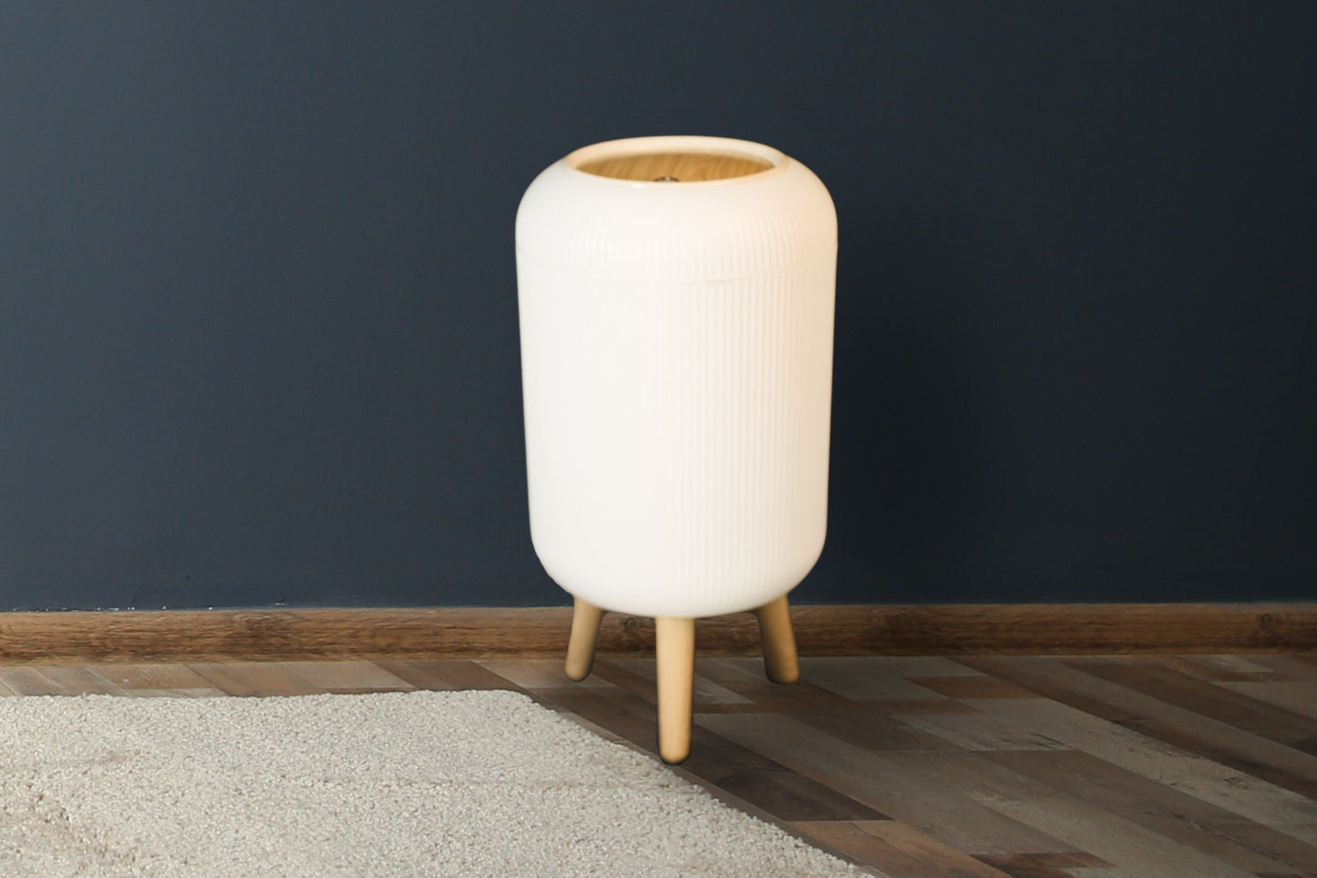 Luxurious Style Trash Can