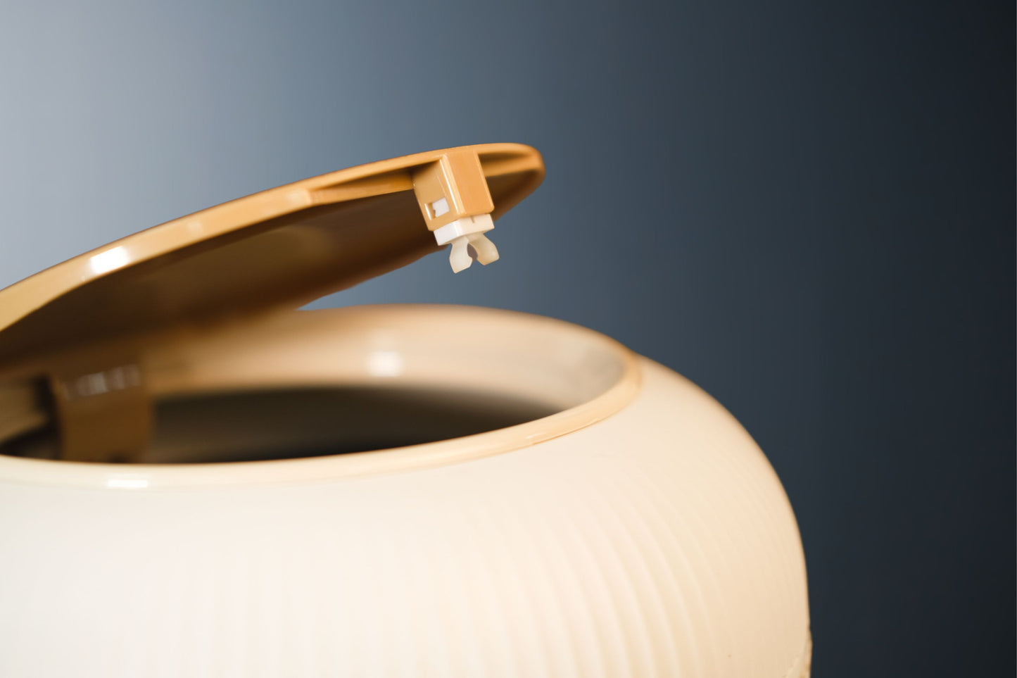 Luxurious Style Trash Can