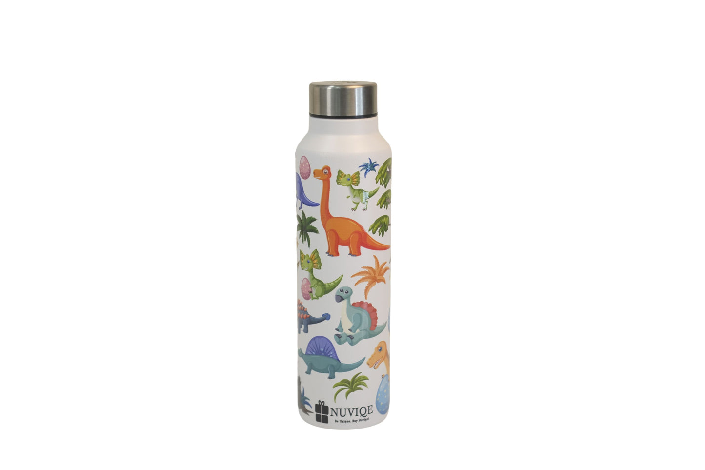 Dinasaur Bottle