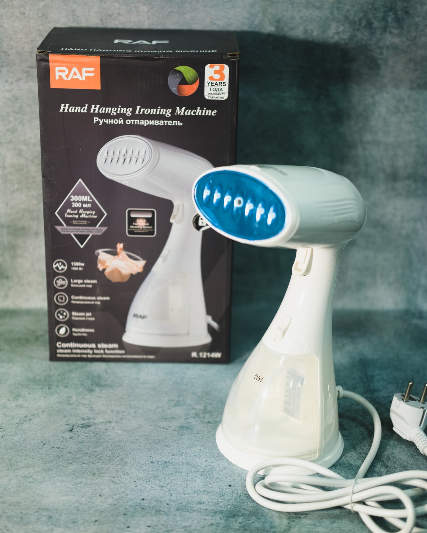 Steam Iron 1