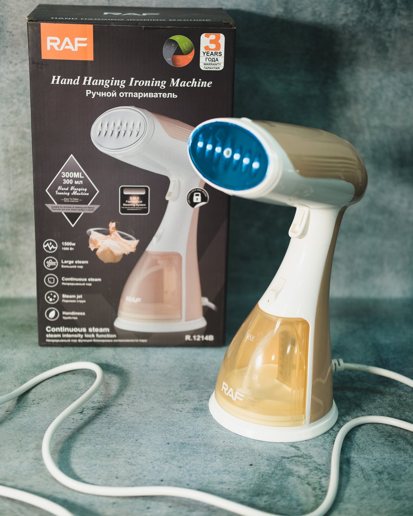 Steam Iron 1