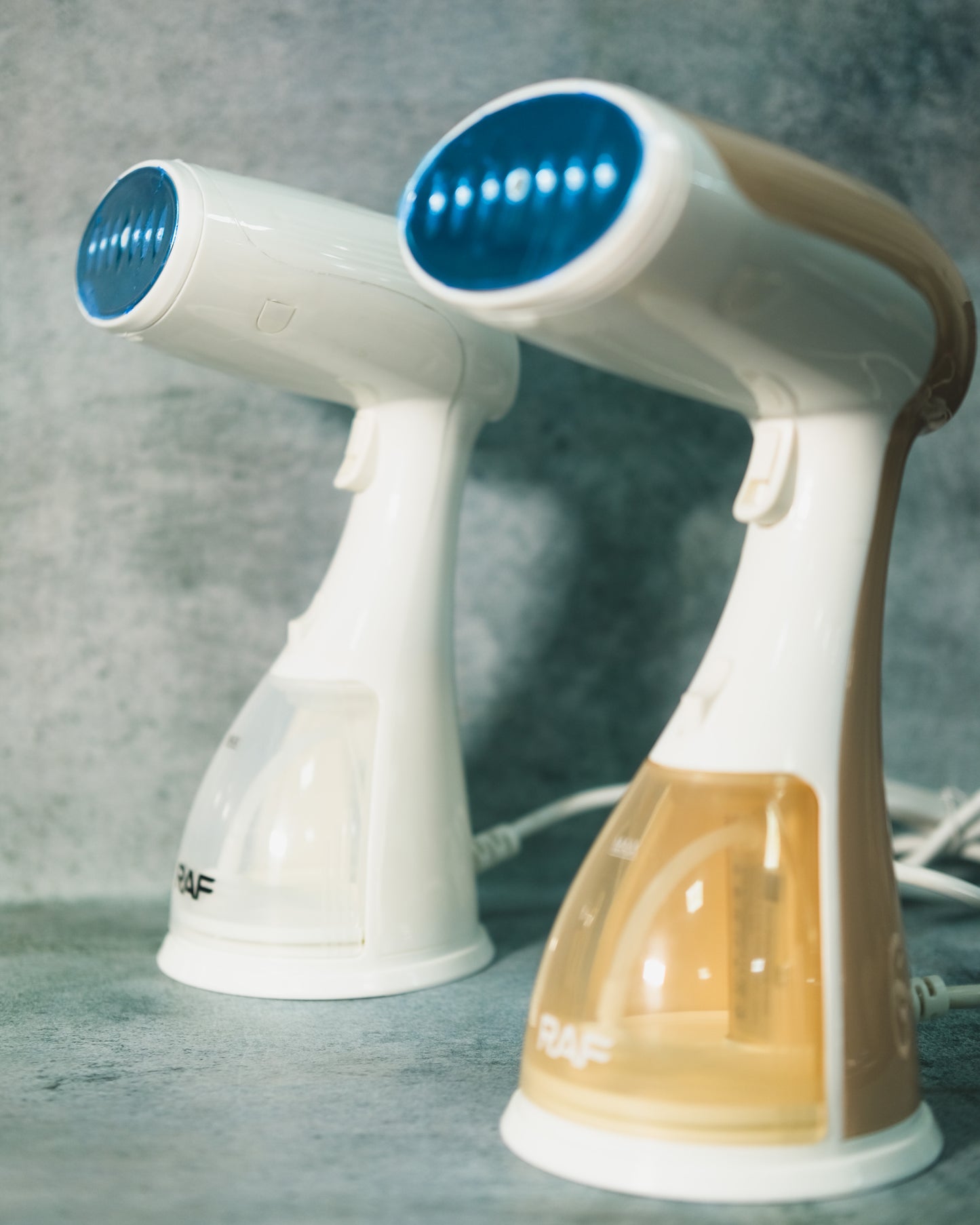 Steam Iron 1