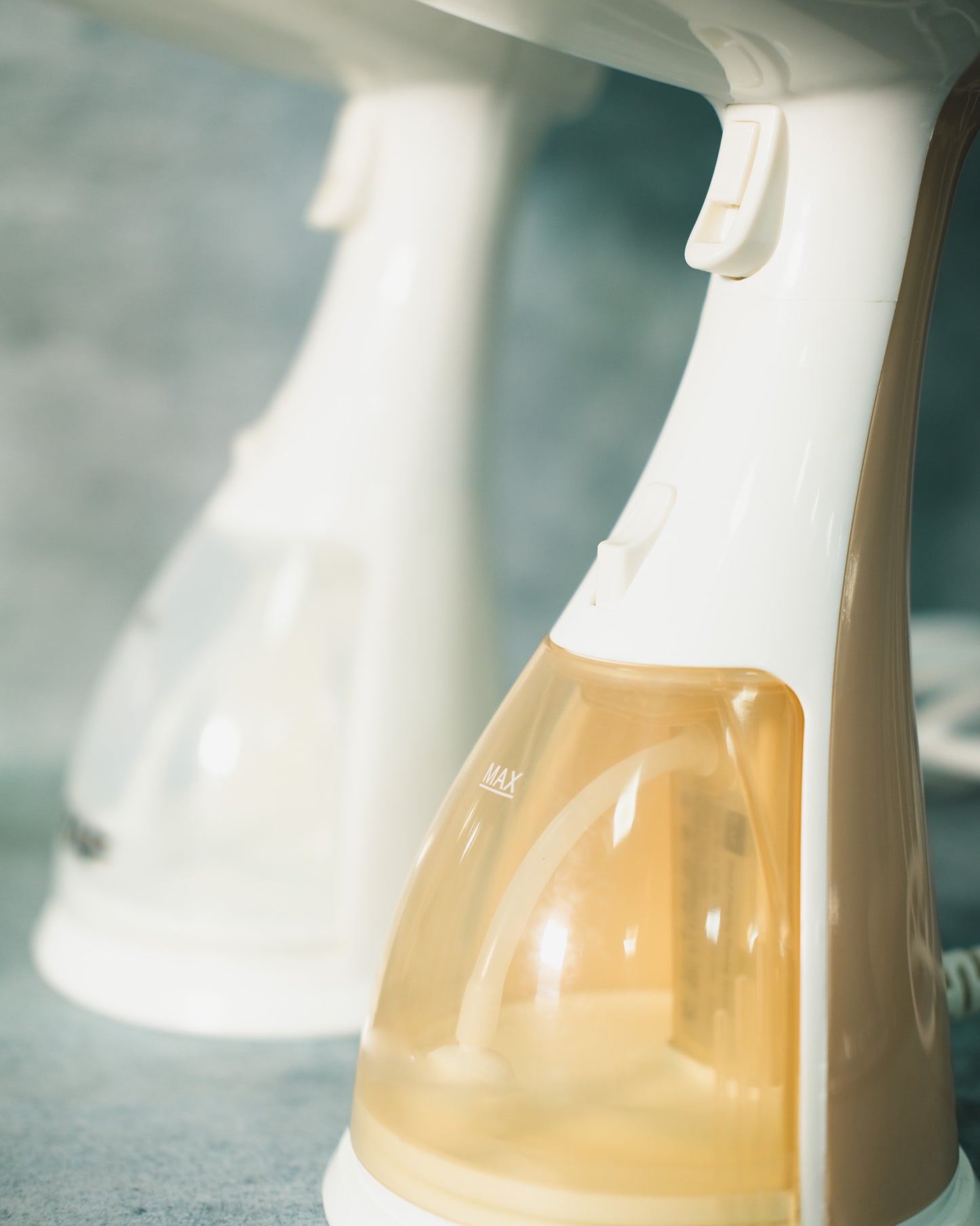 Steam Iron 1